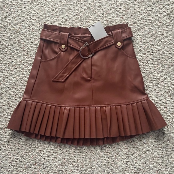 Zara Faux Leather Pleated Skirt - Picture 6 of 6